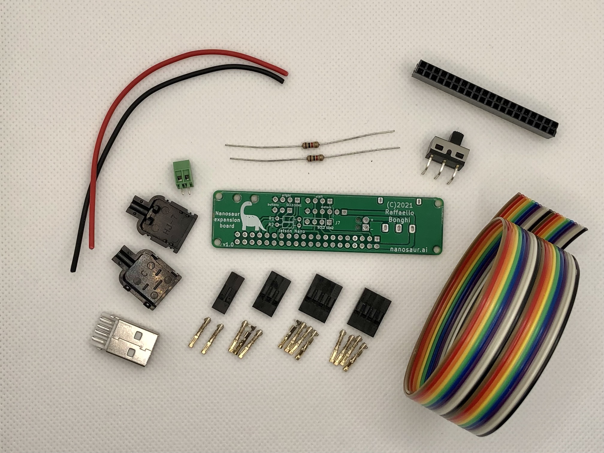 Nanosaur expansion board components