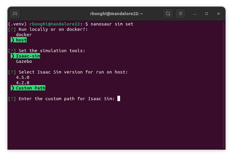 nanosaur simulation set on host